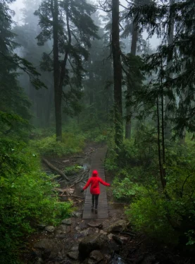 A woman walking through a forest in a red rain jacket, symbolizing personal journeys and self-reflection in Thrive Therapy's approach.