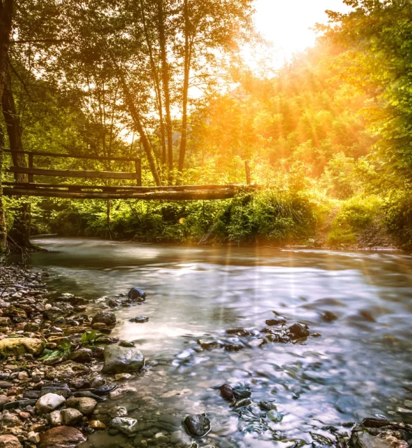 A calm river winding through a park, symbolizing the flow of life and personal growth encouraged by Thrive Therapy.